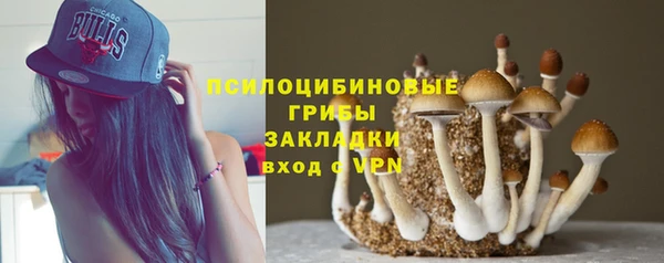 каннабис Белокуриха