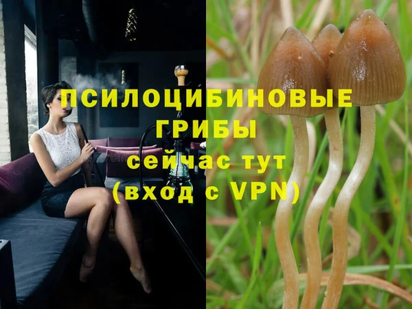 МДПВ Белоозёрский